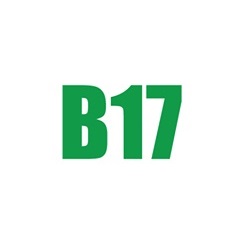 ВитаминВ17.com logo